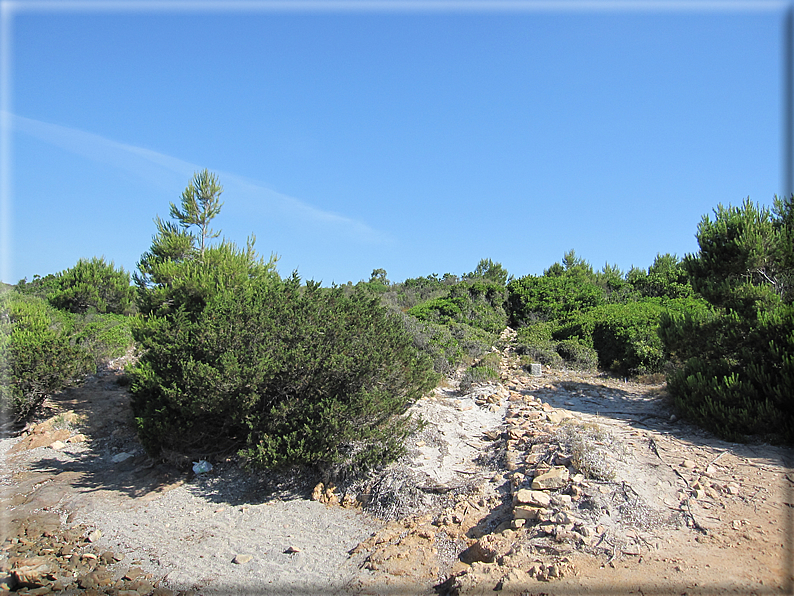 foto Spiagge di San Teodoro